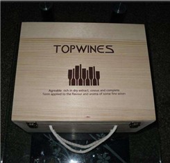 le laser de commande numérique par ordinateur de l'écran tactile 10.2Inch usine le graveur UV de laser de TUYAU de PVC 1